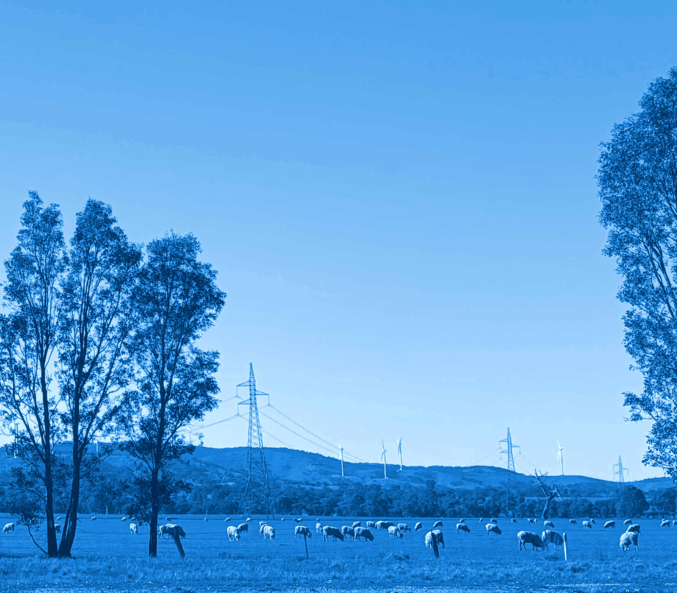 People-centred project engagement in action